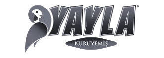 yayla logo çalışması